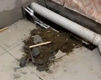 西塞山卫生间漏水检测哪家好