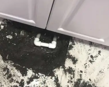 西塞山查漏水哪家好