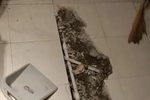 西塞山卫生间漏水检测电话